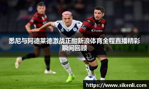 悉尼与阿德莱德激战正酣新浪体育全程直播精彩瞬间回顾